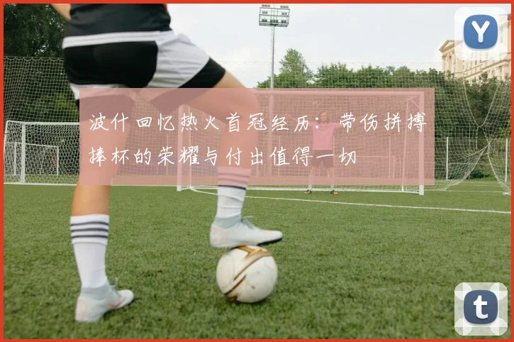 波什回忆热火首冠经历：带伤拼搏捧杯的荣耀与付出值得一切